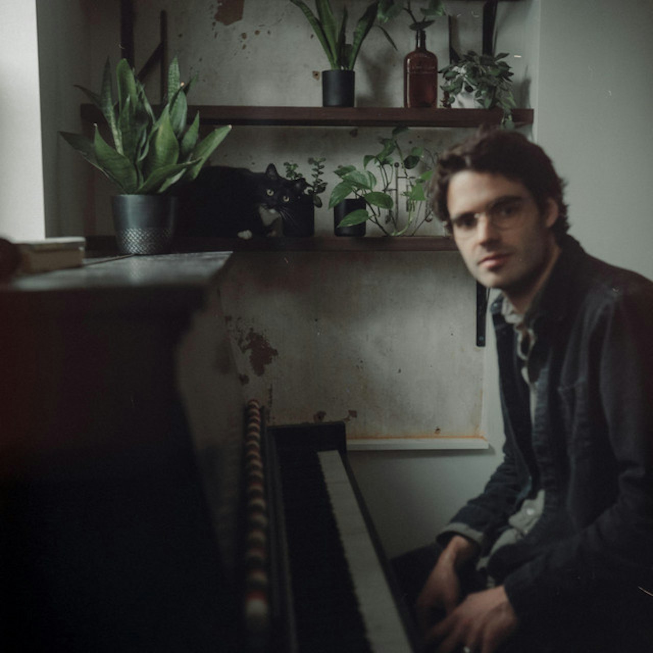 Slaughter Beach Dog Tickets Dice